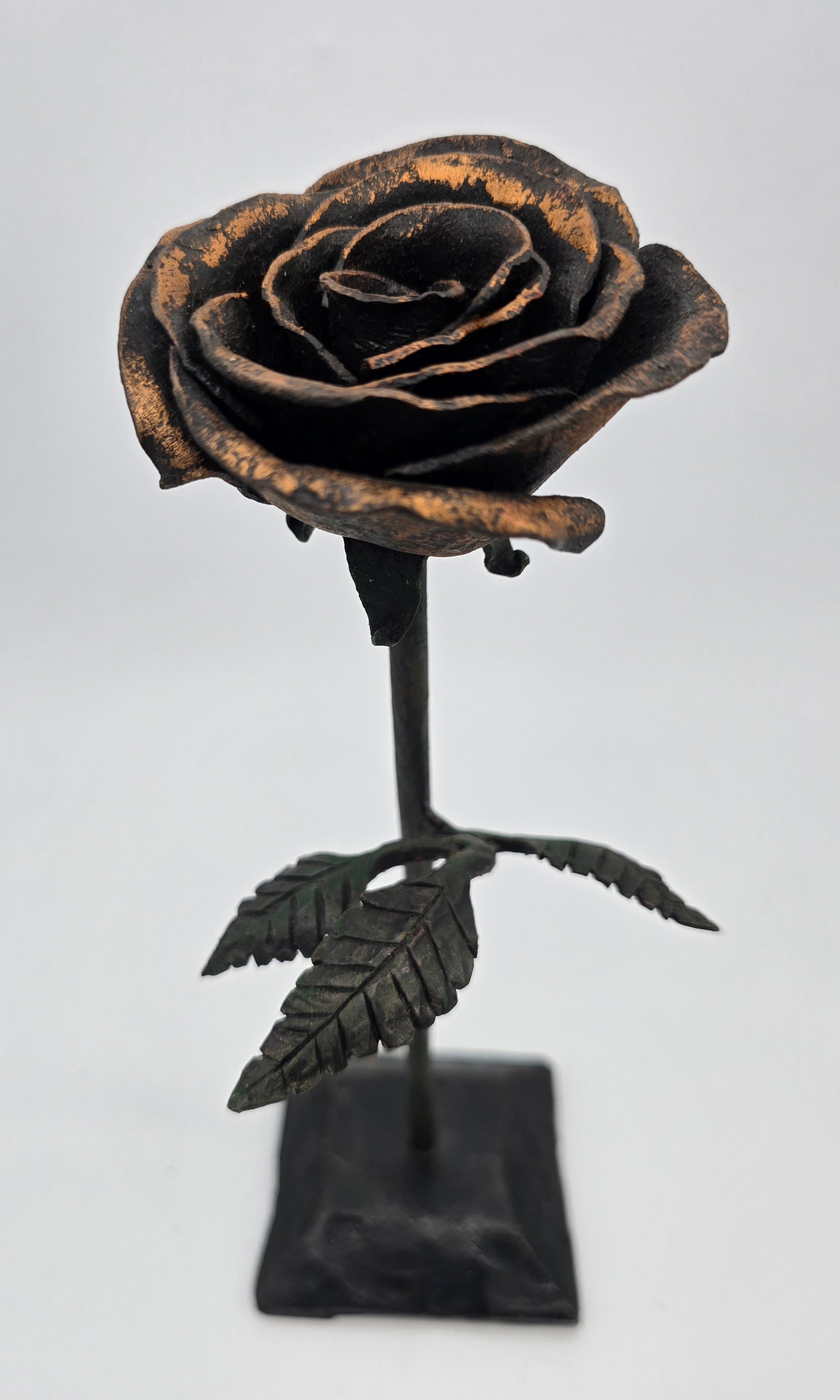 Black Iron Rose