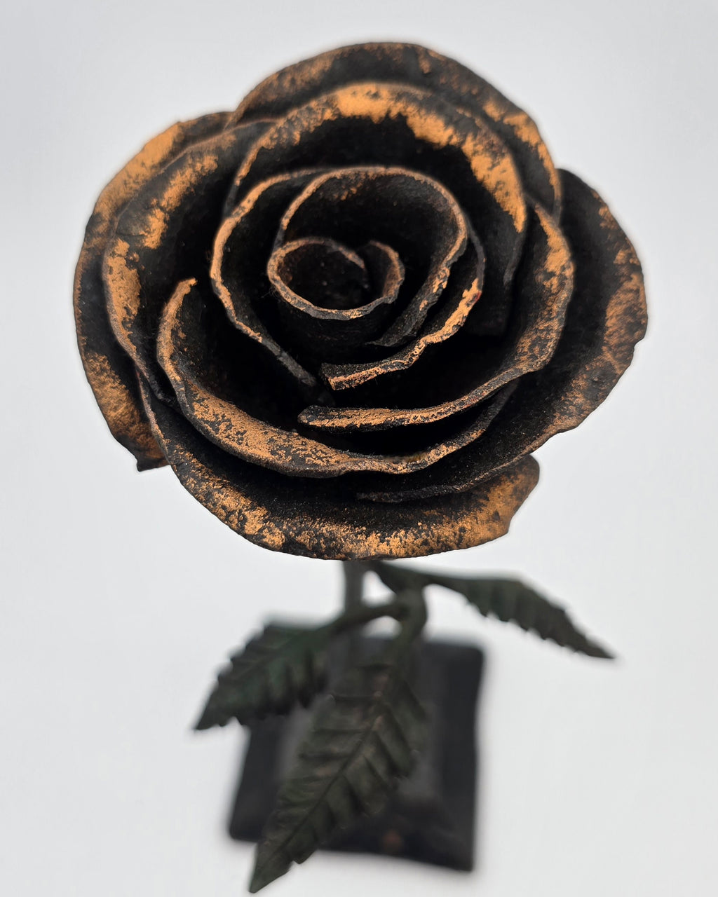 Black Iron Rose