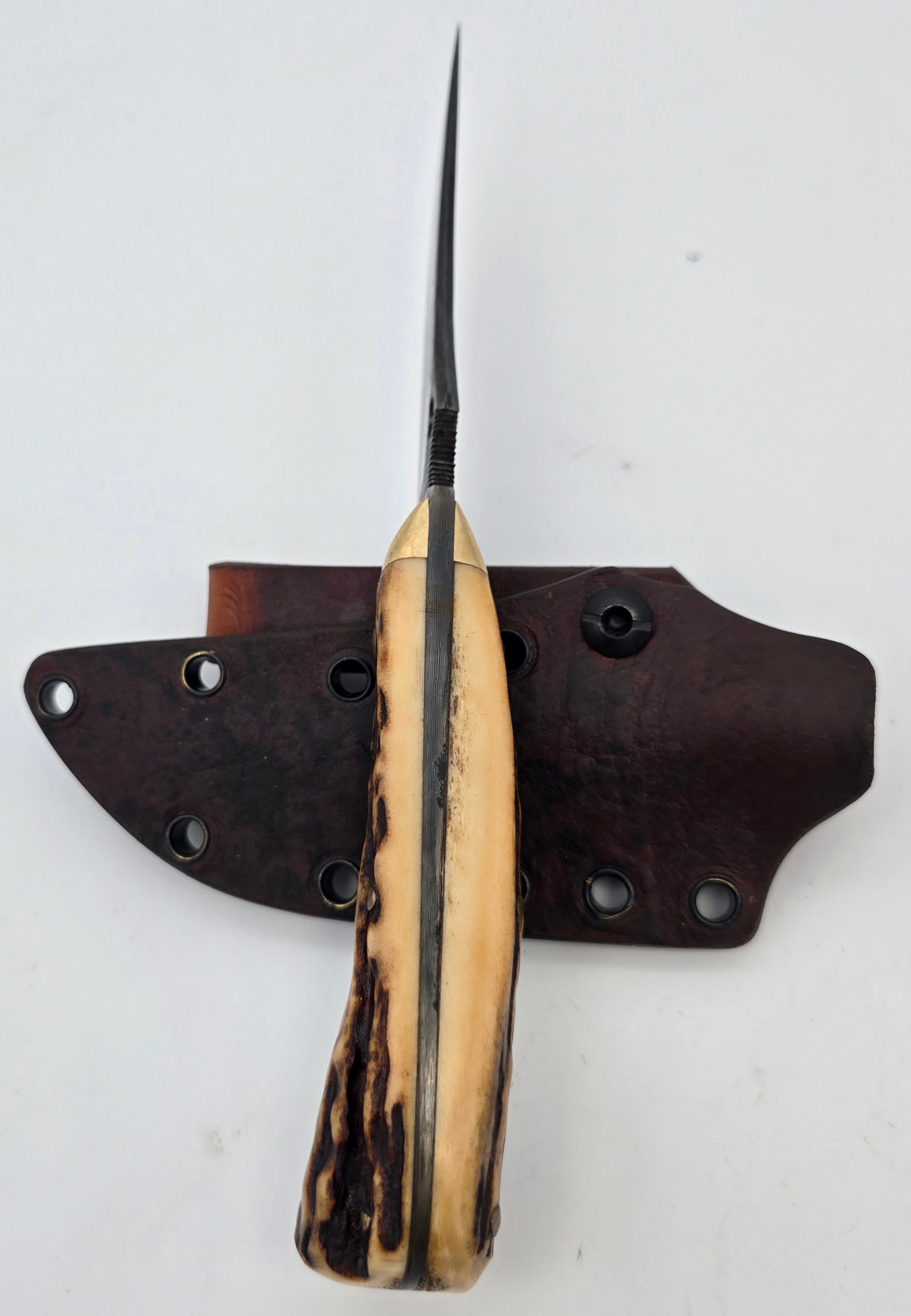 Elk Stag Hunter Knife