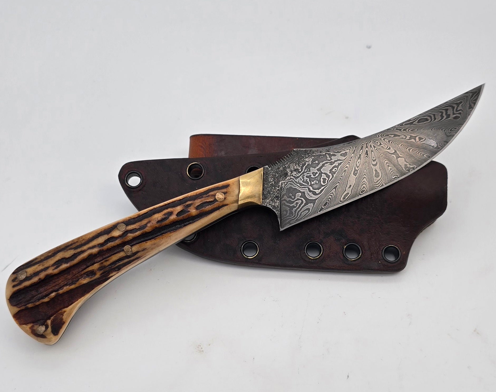 Elk Stag Hunter Knife